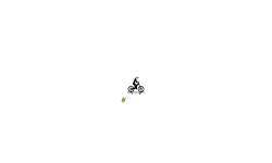 Short cool mtb auto