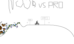 Noob VS Pro