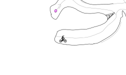 Brush jumps