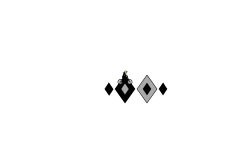 The magic triangles