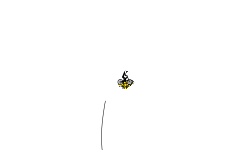 Jumps
