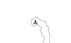 helicopter auto