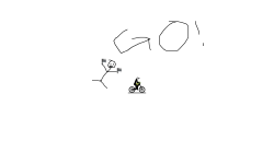 The Rider
