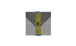 skill test