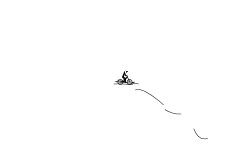 auto/ wheely