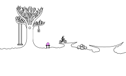 Nature Trail