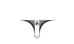 Flying