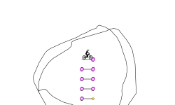 Portal Shananagigs