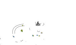 ((AUTO))???????