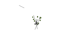 DRAW A TRACK
