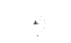 Auto Rider
