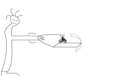 Deer Hunter (with crossbow)