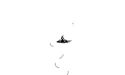 zoomlkinb shoi