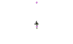 portal run