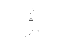 Random Auto