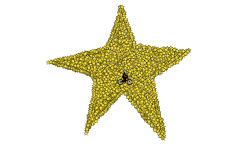 Super Star