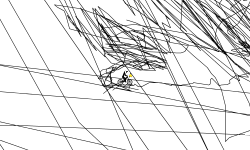 Wierd Tracks