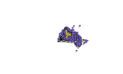 purple and yellow