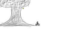 Forest Preview