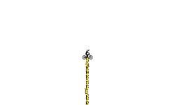 its peeing