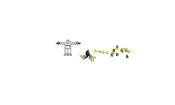T POSE