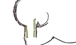 yan jump bomb map