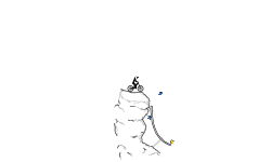 Continue?