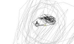 Eye of the tiger