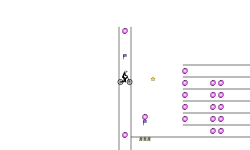Teleport trial
