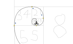 Fibonacci Spiral