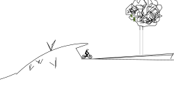 detaild forrest runs