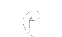 Faster Wheelie
