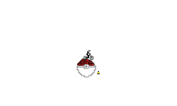 25 pokeball stars