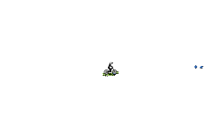 for trigxkx