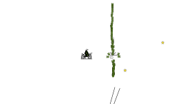 Fast mtb auto