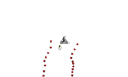 Bomb Auto
