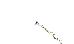 world's longest bmx jump