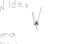 gaay