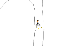 Wait or fly