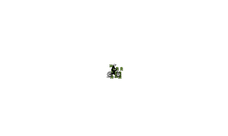 fluppyfloppy