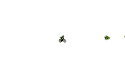 dont move