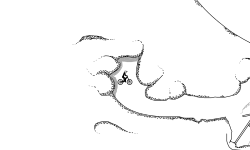 canyon