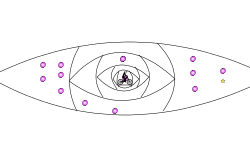 eyes of wisdom