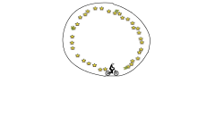 circle practice dome