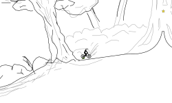 Midnight Forest