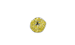 circle