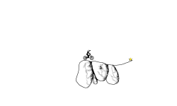 rocks