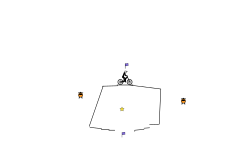 pro heli