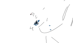 Fly