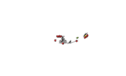 level11